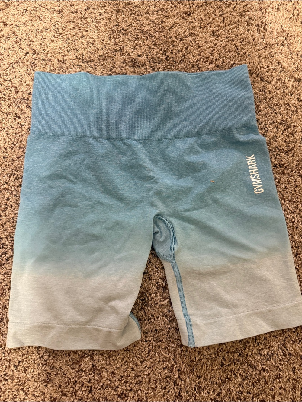 Gymshark Blue Ombre Seamless Bike Shorts